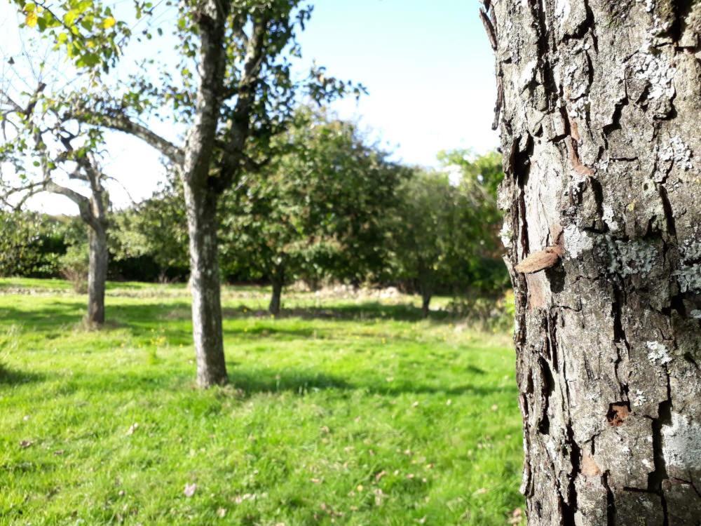 Terre De Reveries Maisoncelles-la-Jourdan Exteriör bild