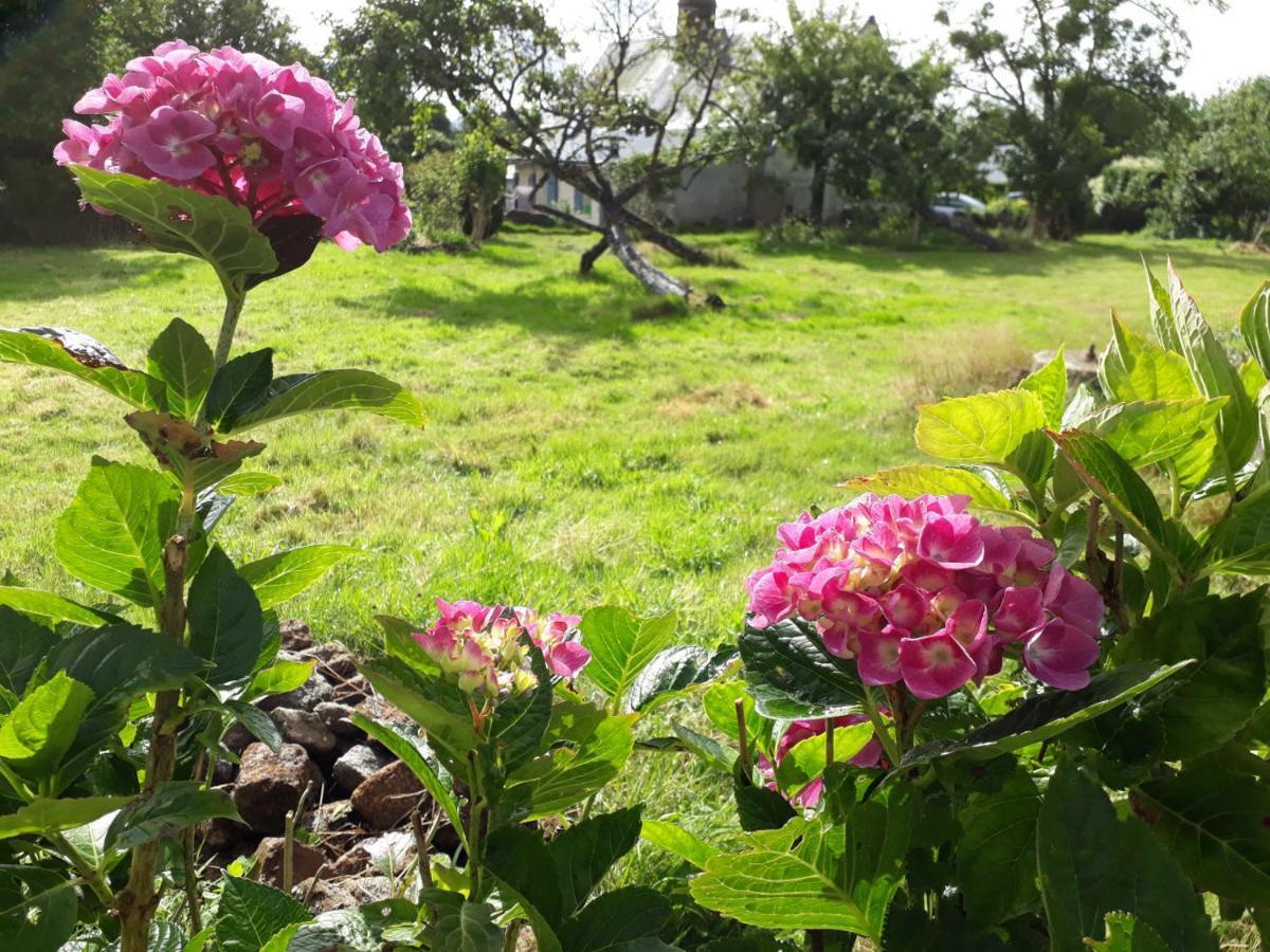 Terre De Reveries Maisoncelles-la-Jourdan Exteriör bild